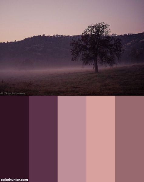 Plum Color Palette Colour Schemes, Purple Palette Colour Schemes, Purple Pallete Color, Color Palette Mauve, Aubergine Color Palette, Plum Color Scheme, Purple Colour Scheme, Warm Purple, Purple Color Schemes