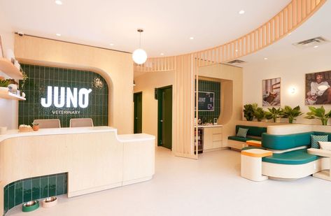 Inside Juno Veterinary: How Toronto’s newest vet clinic is reinventing pet care Vet Clinic Reception Area, Pet Store Interior Design, Vet Waiting Room, Veterinary Reception Area, Architecture For Animals, Vet Clinic Decor, Veterinary Clinic Design Receptions, Pet Clinic Design, Pet Shop Interior