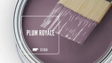 Plum Royale S110-6 | Behr Paint Colors Behr Paint Purple, Light Plum Paint Colors, Plum Cabinets Kitchen, Dusty Purple Paint Color, Purple Bedroom Paint Colors, Plum House Exterior, Behr Purple Paint Colors, Purple Paint Colors Bedroom, Purple Bedroom Paint