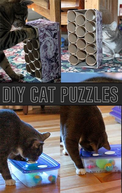 Lots of DIY Cat Puzzle Tutorials Katt Hus, Diy Cat Tent, Katt Diy, Katt Grejer, Kat Diy, Chat Diy, Ocicat, Cat Tent, Diy Cat Toys