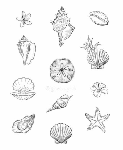 Ocean Art Tattoo, Small Conch Shell Tattoo, Cute Shell Tattoo, Tattoos Beach Theme, Seashell Tattoos For Women, Small Coastal Tattoos, Art Lover Tattoo, Sea Shell Tattoo Design, Sea Shells Tattoo Ideas