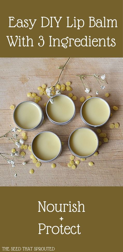 Learn how to easily make this nourishing lip balm with 3 simple ingredients. A must-have to protect your lips in harsh weather. #diybeauty #lipbalm #homemadelipbalm #chemicalfree Diy Lip Balm Recipes Vaseline, Chapstick Diy, Beeswax Lip Balm Recipe, Easy Lip Balm, Homemade Balm, Carmex Lip Balm, Homemade Lip Balm Recipe, Diy Lip Balm Recipes, Handmade Lip Balm