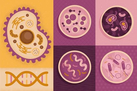 Cell Vectors, Photos and PSD files | Free Download Future Technology Concept, Eukaryotic Cell, Science Equipment, Science Words, Biology Art, Be Design, Science Illustration, Human Body Parts, Hexagon Pattern