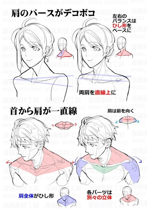 الفن الرقمي, Anatomy Tutorial, Anime Tutorial, Body Drawing Tutorial, Human Anatomy Drawing, Manga Drawing Tutorials, Human Anatomy Art, Body Reference Drawing, Body Anatomy