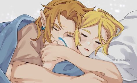 Zelink Botw, Link X Zelda, Zelda Fanart, Botw Zelda, Princesa Zelda, Legend Of Zelda Art, Zelda And Link, Link And Zelda, Zelda Botw