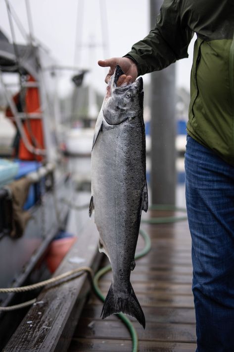 “Lucas and I are both Tlingit, and salmon is a way of life — it’s a really integral part of our culture,” says Mary. “It’s really important to us, and as Tlingit people, we believe it’s out duty to protect the salmon and make sure everything is in balance.” Wild Salmon Photography, Salmon Photography, Alaska Salmon Fishing, Alaska Salmon, Wild Caught Salmon, Foraged Food, Wild Salmon, Salmon Fishing, Going Fishing