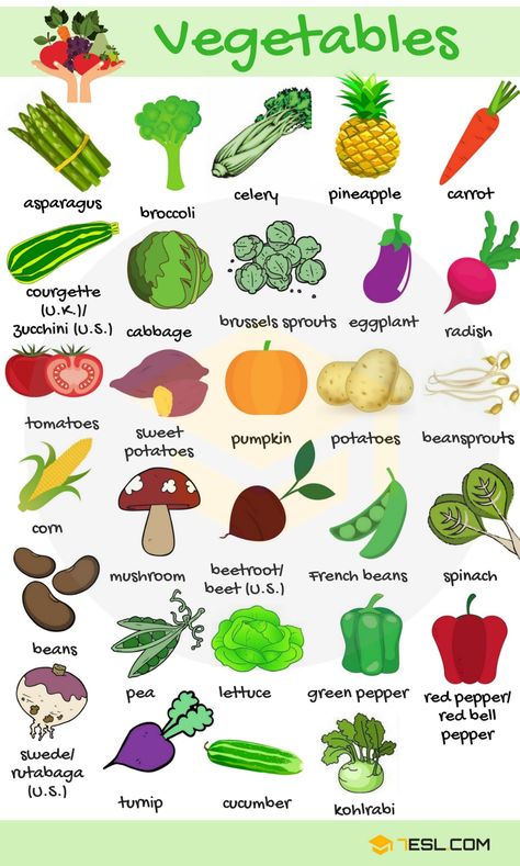 Name Of Vegetables, Fruits Name In English, Materi Bahasa Jepang, Fruit Names, List Of Vegetables, Learning English For Kids, English Vocab, Kids English, English Language Teaching