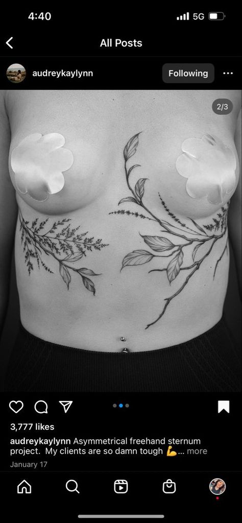 Sternum To Chest Tattoo, Greenery Shoulder Tattoo, Sternum Plant Tattoo, Sternum To Belly Button Tattoo, Sternum Leaves Tattoo, Vines On Stomach Tattoo, Floral Torso Tattoo, Pelvis Tattoos Women Cover Up, Plant Chest Tattoo Female