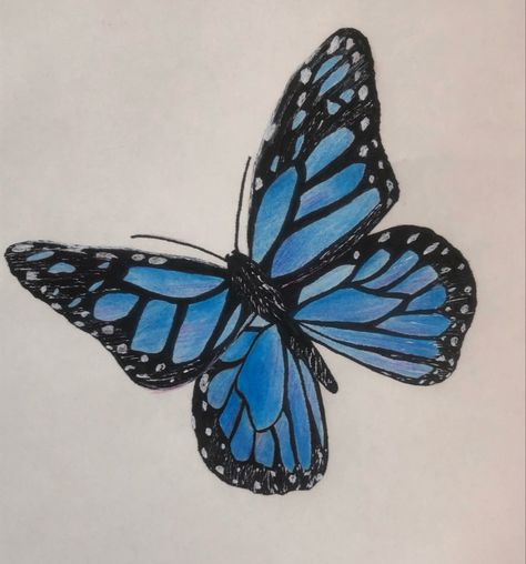 Blue Butterflies Drawing, Blue Monarch Butterfly Drawing, Blue Butterfly Sketch, Butterfly Drawing Aesthetic Colorful, Butterfly Art Sketch, Butterfly Drawing Detailed, Blue Butterfly Drawing Easy, Pencil Butterfly Drawings, Blue Morpho Butterfly Drawing