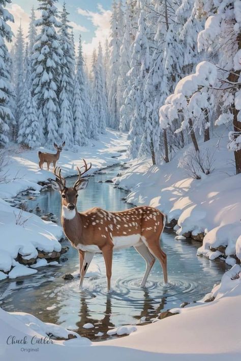 Winter Photography Nature, Scene Pictures, Winter Picture, Deer Winter, Beautiful Winter Scenes, Deer Pictures, Winter Landscape Painting, Deer Painting, Winter And Christmas