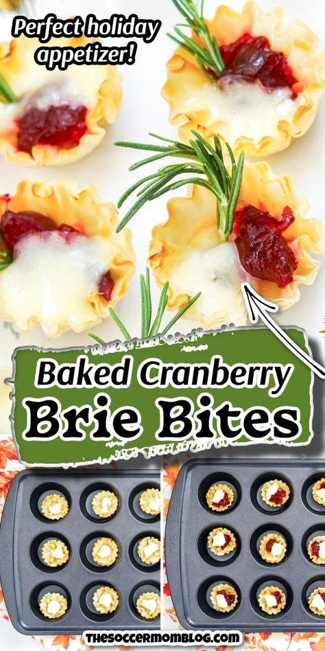 Creamy brie and juicy cranberries baked together in buttery pastry shells — these Cranberry Brie Bites are a beautiful, festive appetizer for Christmas and this holiday season! They look so fancy, no one will guess they only take 10 minutes to prepare! Brie Phyllo, Brie Appetizers, Cranberry Appetizer, Cranberry Brie Bites, Cranberry Bites, Brie Cranberry, Brie Appetizer, Cranberry Brie, Phyllo Cups