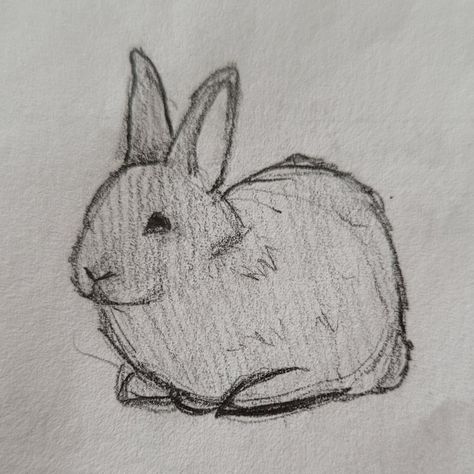 Bunny Sketch Easy, Simple Bunny Drawing, Funny Animal Drawings, Rabbit Drawing Easy, Animal Sketches Easy, Bunny Sketches, Arte Punk, Bunny Drawing, Cute Sketches