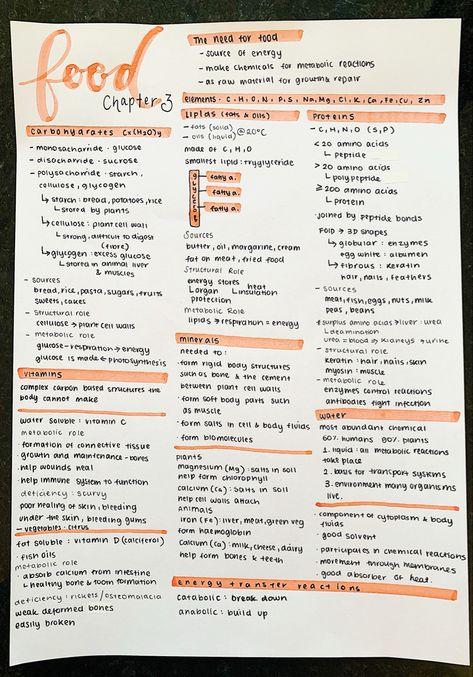 #neathandwriting #aestheticnotes #prettynotes #biologynotes #food #biomolecules Food Tests Biology, Food Tech Gcse Revision Notes, Food Technology Study Notes, Food Tech Revision Notes, Food Technology Aesthetic, Food Science Aesthetic, Gcse Food Tech, Nutrition Notes, Food Science And Technology