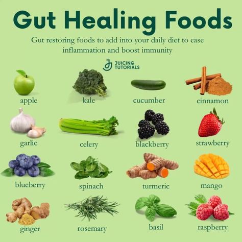 Gut Healing Foods, Gut Health Diet, Gut Healing Recipes, Gut Health Recipes, Food Health Benefits, Healing Foods, Healing Recipes, Resep Diet, Healthy Food Motivation