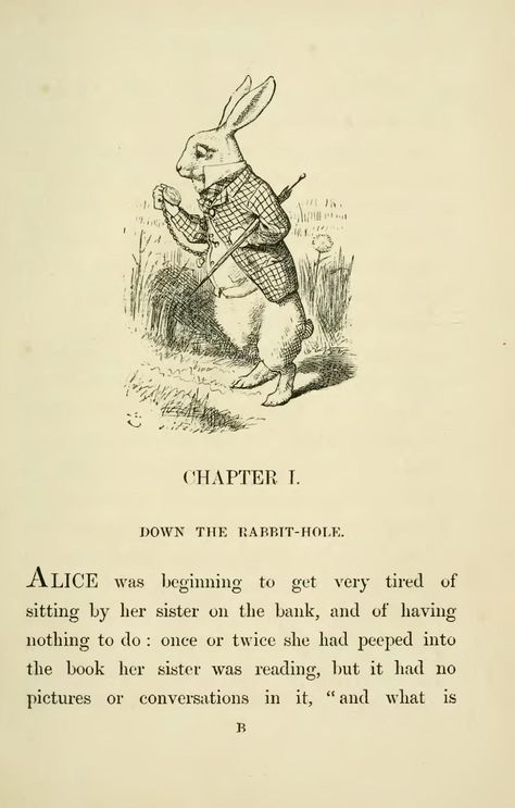 Page:Lewis Carroll - Alice's Adventures in Wonderland.djvu/21 - Wikisource, the free online library Den Den, Alice In Wonderland Illustrations, Alice In Wonderland Book, John Tenniel, Animal Inspiration, Wonder Land, Alice's Adventures In Wonderland, Living Books, Old Book Pages