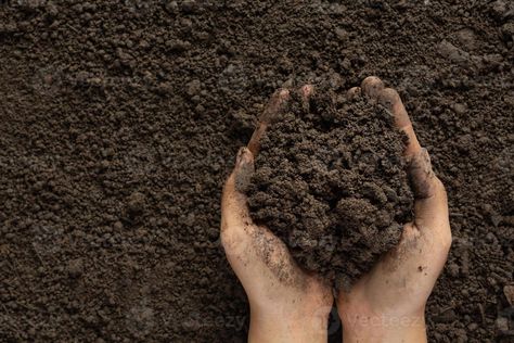 Black Soil Image, Soil Photography, Dirt Photography, Element Photography, World Soil Day, Farm Branding, Dresses Images, Black Soil, Bloom Baby