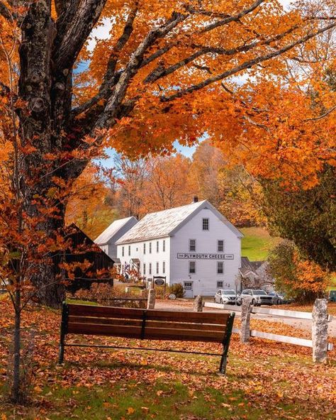 Jack | Boston & New England on Instagram: "Take a seat and have some cheese! I can’t resist spending time at the Calvin Coolidge site during the fall. This is just a beautiful spot in Plymouth, Vermont that feels like a step back in time. The buildings are all well preserved and there is a lot of land to walk around, you can have a picnic lunch on the nearby benches and tables and endless photo options. And of course, @plymouthcheesevt which is definitely a fall muse for me. Shot last week Vermont Photography, Vermont Fall, Days Until Halloween, Family Photoshoot Outfits, New England Travel, New England Fall, Autumn Magic, Autumn Scenes, Autumn Scenery