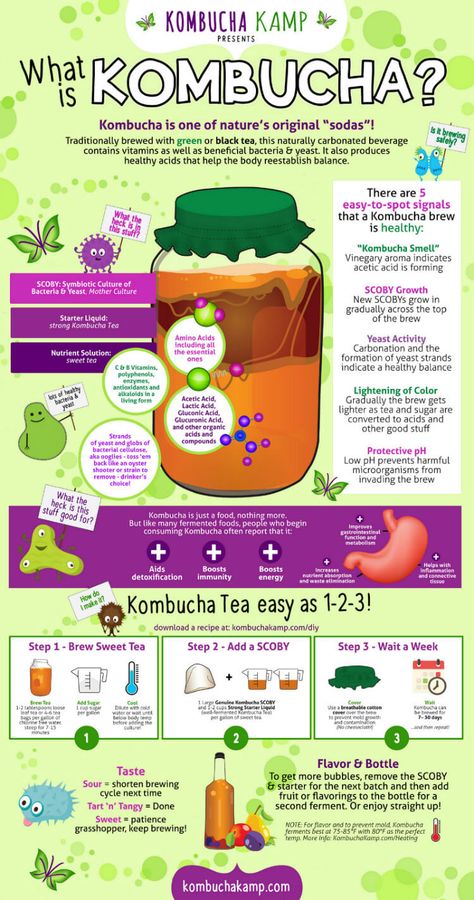 What is Kombucha and How to Make It on 100 Days of Real Food Make Your Own Kombucha, Diy Kombucha, Kombucha Flavors, Kombucha Scoby, Homemade Kombucha, Kombucha Recipe, Kombucha Tea, Fermentation Recipes, Fermented Drink