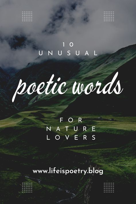 Spending time in nature has a reviving effect on our minds and bodies, whether it's taking a walk in the woods, hiking in the mountains, or just watching a sunset. As a result, many people become inspired and motivated to create, which gives them a vehicle for self-expression. These 10 poetic nature words will help you express yourself if you are feeling inspired by nature but are at a loss for words. Aesthetic Words About Nature, Beautiful Words For Nature, Lover Of Nature Word, Words For Nature Lovers, Nature Grounding Quotes, Nature Lover Words, Nature Words Beautiful, Nature And Me Quotes, Nature Related Words