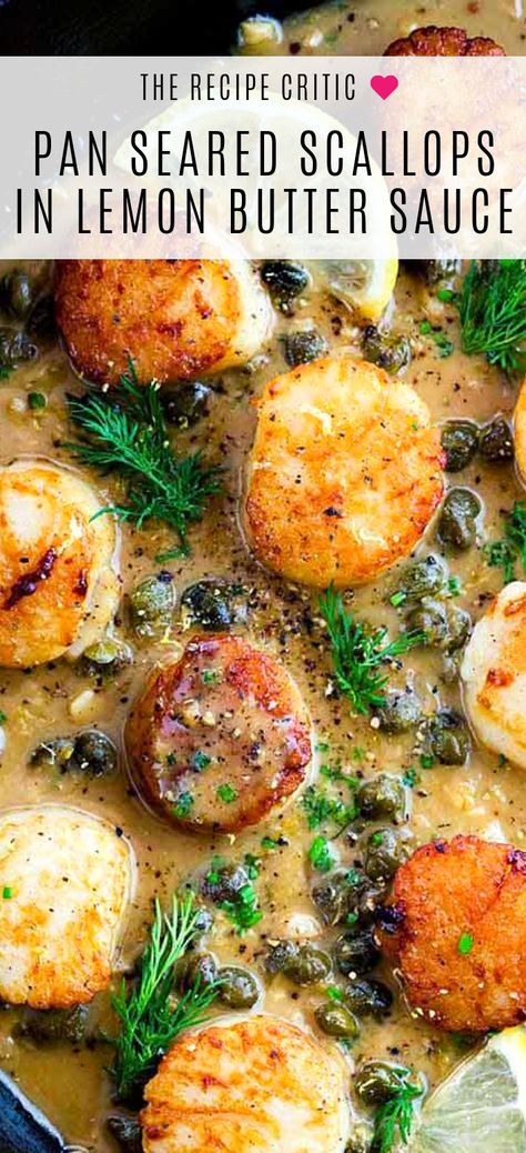 Seafood Scallops, Scallops Recipe, Lemon Caper Sauce, Pescetarian Recipes, Caper Sauce, Pan Seared Scallops, Meal Prep Plans, Seared Scallops, Scallop Recipes