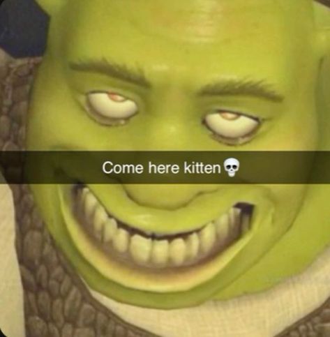 Sus Pictures, Sus Things, Sus Stuff, Shrek Funny, Weird Humor, Weird Memes, Funny Pix, Crazy Funny Pictures, Come Here