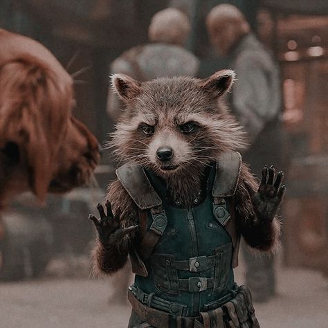 Wallper Iphone, Funny Kanye, Rocket Racoon, Aesthetic Marvel, Groot Guardians, Hero Time, Marvel Icons, Rocket Raccoon, Trash Panda