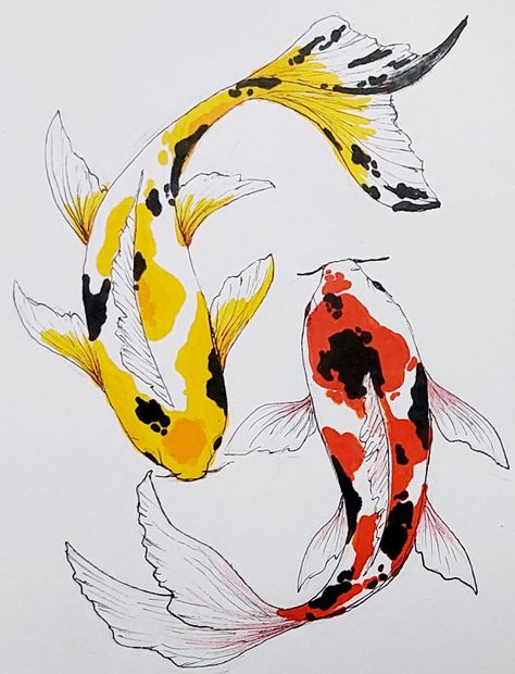 #Koifish #art #drawing #sketch #colors #fun #easy Koi Reference, Beautiful Fish Drawing, Coy Drawing, Draw Koi Fish, 2 Koi Fish, Two Fish Drawing, Drawing Coy Fish, Koi Art Drawing, Koi Sketch