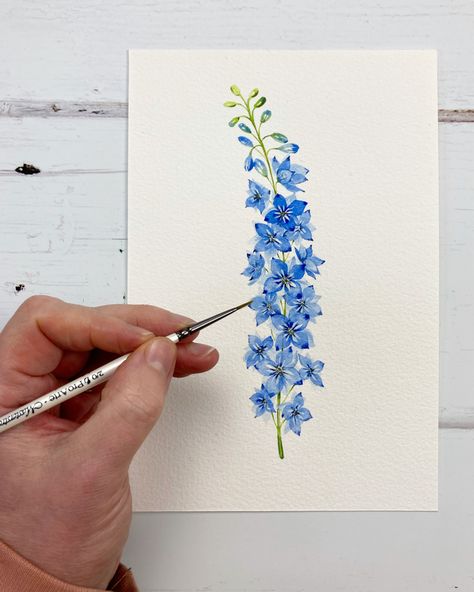 Paint along with me in this watercolor flower painting tutorial on my youtube channel. Click the link to watch! #watercolour #watercolor #delphinium #painting Delphinium Painting Acrylic, Blue Delphinium Drawing, Delphinium Flower Painting, Blue Delphinium Painting, How To Draw Delphinium, Larkspur Painting Acrylic, How To Draw Larkspur, Delphinium Flower Watercolor, Larkspur Flower Watercolor