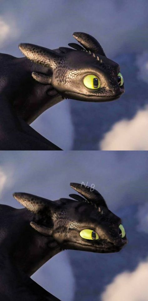 Nightfury Oc, Dragon Trainer, Night Fury, Train Your Dragon, How Train Your Dragon, How To Train Your Dragon, Httyd, Dragon Art, How To Train Your