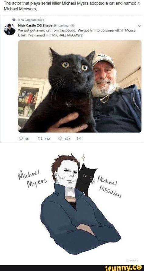 Michael Myers Art, Horror Memes, Horror Slashers, Horror Movies Funny, Scary Movie Characters, Horror Villains, Slasher Film, Slasher Movies, Horror Movie Icons