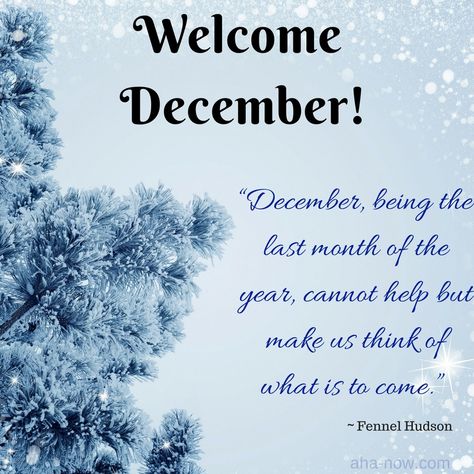 Welcome To #December  Better is the end of a thing than the beginning thereof. God who has brought you from the beginning of this year to the very end is able to fulfill all his promises for your life.Keep your faith strong, your hope high and your joy level undiminished.As we take on this new month of the birth of the Lord Jesus Christ, let hope be your watchword.Act in faith, believe that all things are possible for you and as you think in your heart, so shall it be for you. Last Month Of The Year Quotes Feelings, December Welcome Quotes, Hello December Quotes Thoughts, Welcome To December Quotes, December Quotes Happy, December 1st Quotes, Welcome December Quotes, December Welcome, Hello December Quotes