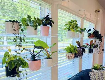 Clear Hanging Window Shelves That Help Plants Thrive Without Blocking Light | Apartment Therapy Shelves Over Windows Bathroom, Unique Plant Display, Narrow Shelf Ideas, Plant Shelf In Front Of Window, Diy Plant Shelf Indoor, Hanging Plants In Front Of Window, Window Bookshelves, Plant Display Indoor, Plants In Living Room