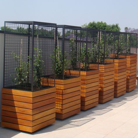 Garapa Decking, نباتات منزلية, Garden Planter Boxes, Wooden Planter Boxes, Plant Box, Raised Planter, Outdoor Gardens Design, Wooden Planters, Wood Planters