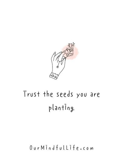 Root For Yourself Quotes, Sayings About Growth, Words About Growth, Qoutes About Plants, Quotes About Seeds And Growth, Seeds Quotes Inspiration, Grow Where Youre Planted Quote, Qoutes About Growth Inspirational, Cute Growth Quotes