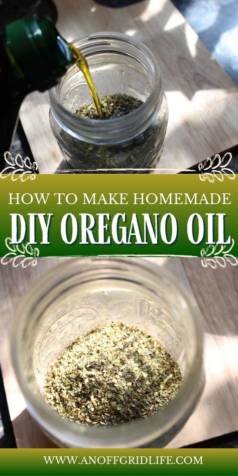 How to make homemade oregano oil Diy Oregano Oil, Make Oregano Oil, Oregano Recipes, Oregano Oil Benefits, Herbal Remedies Recipes, Oregano Essential Oil, Oregano Oil, Herbal Tinctures, Herbal Recipes