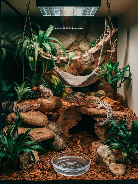 Leopard gecko tank setup ideas: Discover enchanting 10-gallon habitats that maximize style and comfort for your pet. Explore simple, yet effective leopard gecko habitat ideas today!

https://acuariopets.com/tank-setup-ideas-for-leopard-geckos/ Reptile Enclosure Ideas Leopard Geckos, Skink Lizard Habitats, Leopard Gecko Habitat Ideas Cute, Leopard Gecko Bioactive Vivarium, Day Gecko Enclosure, Geko Lizard Enclosure, Fairy Garden Leopard Gecko Tank, Cute Crested Gecko Tank Ideas, Desert Terrarium Reptile