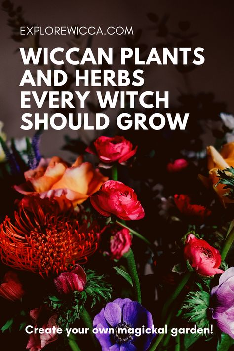 Wiccan Plants and Herbs Every Witch Should Grow Green Witch House Plants, Witchy Garden Plants, Indoor Witch Garden, Green Witch Home Aesthetic, Witches Garden Plants, Witches Herb Garden, Witchy Plants Aesthetic, Witch’s Garden, Witch Garden Plants