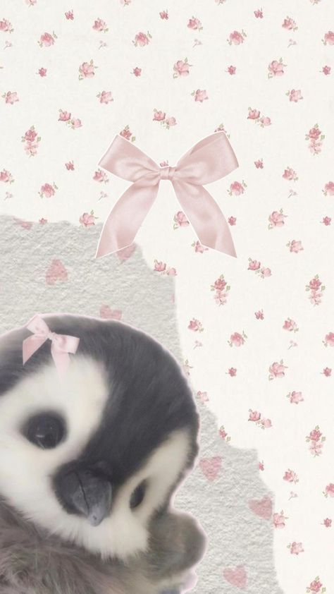 🐧🎀🫧🌷 Pink Kitty Wallpaper, Pink Wallpaper Ipad, Circle Collage, Japanese Wallpaper Iphone, Coquette Wallpaper, Code Wallpaper, Pink Flowers Wallpaper, Wallpaper Cat, Cover Wallpaper