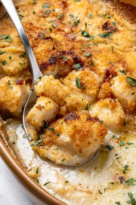 Scallop Recipes Baked, Bay Scallop Recipes, Scallop Recipes Healthy, Easy Scallop Recipes, Seafood Scallops, Seafood Boils, Seafood Dish Recipes, Scallop Dishes, Baked Scallops