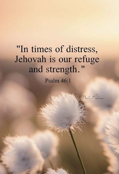 Jw Quotes Encouragement Strength, Discernment Prayer, Jw Notes, Jw Quotes, Encouragement Strength, Jehovah Quotes, Encouraging Thoughts, Jehovah Witness Quotes, Jehovah Witness