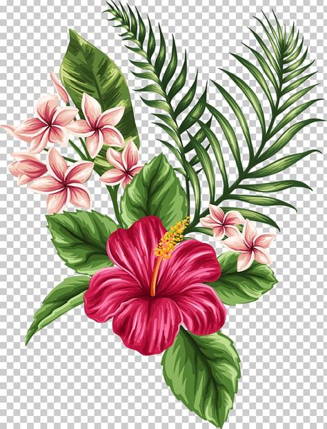 Plumeria Tatoos, Hawaiian Flower Drawing, Tropical Flowers Illustration, Tropical Flower Tattoos, Hibiscus Flower Drawing, Flower Bouquet Drawing, Abstract Cloud, Flowers Drawing, Clipart Free