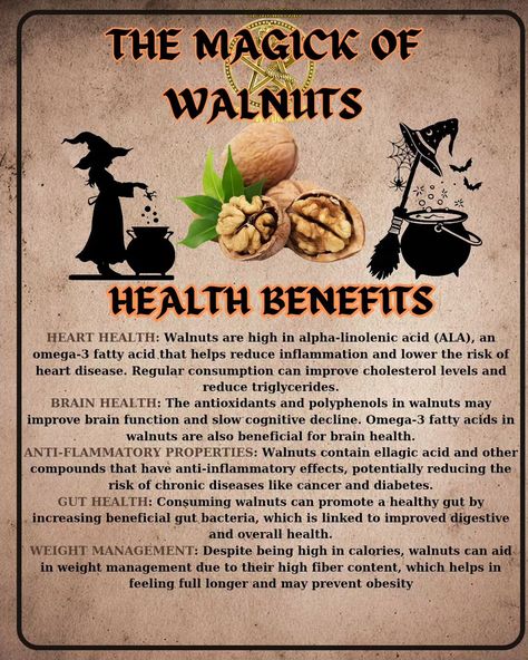 🌿✨ Discover the mystical power of walnuts in witchcraft! These magical nuts are sacred to deities like Zeus and Jupiter and are used for various enchanting purposes: - **Protection & Wisdom**: Walnut wood and leaves are used in protective spells and rituals, enhancing wisdom and intellect. - **Manifestation**: Write your intention, place it inside a walnut shell, seal it, and bury it to "grow" your desires. - **Cleansing**: Use walnuts in cleansing baths to strip away negativity and sever un... Walnuts Benefits, Protective Spells, Health Benefits Of Walnuts, Spells And Rituals, Fruit Benefits, Improve Brain Function, Walnut Shell, Cholesterol Levels, Healthy Gut