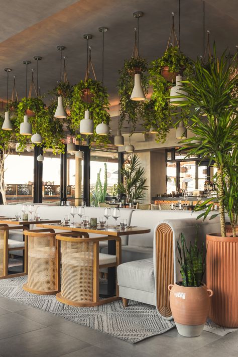 Restaurant With Plants, Boutique Hotels Design, Decoration Restaurant, Hospital Interior Design, Office Snapshots, Cafe Interior Design, Salou, Restaurant Interior Design, Modern Coastal