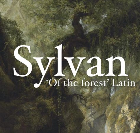 Baby boy name Sylvan. Fantasy Forest Names Ideas, Sylvie Name, Names Meaning Forest, Fantasy Forest Names, Kingdom Names Ideas With Meaning, Names That Mean Forest, Latin Last Names, Latin Surnames, Kingdom Names With Meanings