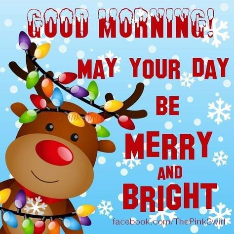 Good Morning Merry Christmas, Christmas Morning Quotes, Merry Christmas Meme, Christmas Meme, Good Morning Christmas, Good Morning Winter, Merry Christmas Message, Good Morning Funny Pictures, Merry Christmas Gif