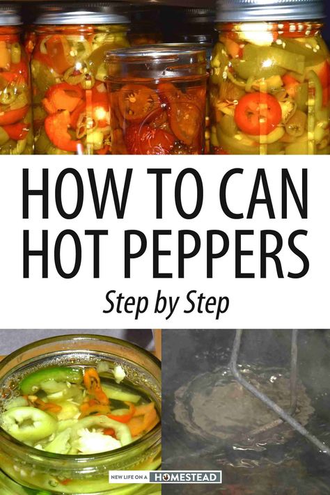 Canning Green Peppers And Onions, Pressure Canning Peppers, Can Bell Peppers, Canned Cayenne Peppers, Preserving Green Bell Peppers, How To Preserve Green Bell Peppers, Canning Onions And Peppers, Canning Green Bell Peppers, What To Do With Bell Peppers Ideas