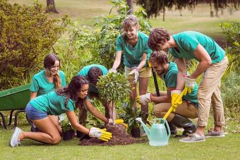 There has been a growing need for community gardens and that is why they are the new trend. This is mostly as a result of the prevailing pressures on food... The post How to Set Up a Community Growing Garden appeared first on Rachel Bustin. Unique School Fundraisers, Projects For High School Students, Community Service Ideas, Unique Fundraisers, School Volunteer, Volunteer Activities, Community Service Projects, Growing Gardens, Volunteer Work