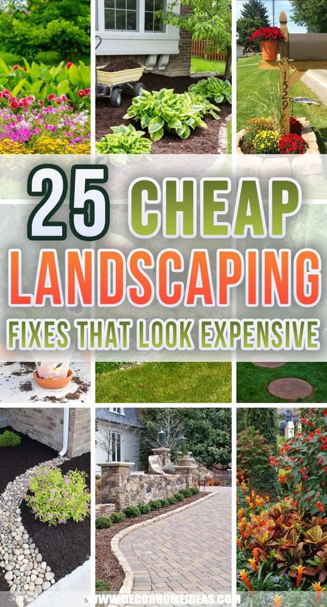 Cheap Landscaping, Cheap Landscaping Ideas, Small Front Yard Landscaping, Front Yard Garden Design, Gardening Hacks, Diy Backyard Landscaping, Decoration Plante, Garden Yard Ideas, Home Landscaping