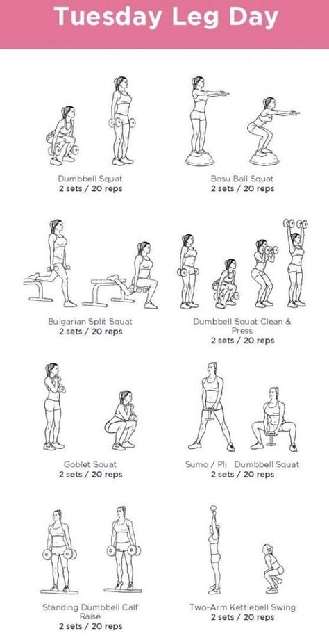 Leg Exercises Beginner, Legs Day Workout At Home, Leg Workout For Beginners Gym, Leg Day Free Weights, Leg Workout With Weights Gym, Leg Free Weight Workout, Leg Day Weights, Free Weights Leg Workout, Legs Workout At Gym