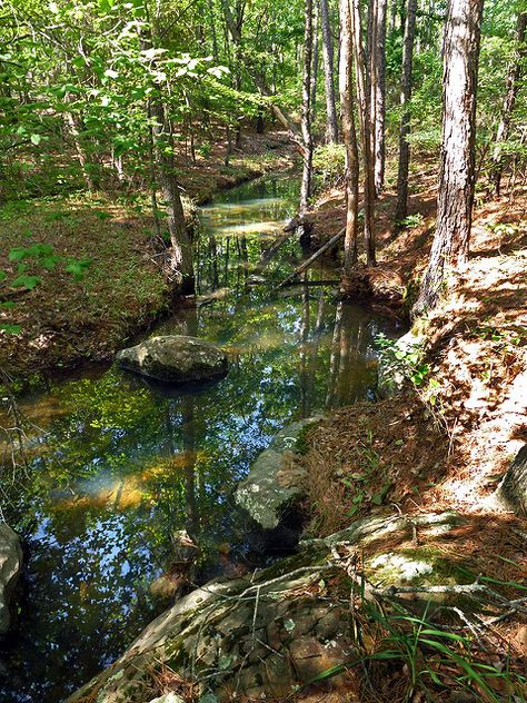 Spring In The Woods, Hiking In The Woods, Stream In The Woods, Walks In The Woods, Summer In The Woods, Living In The Woods Aesthetic, Things To Do In The Woods, Woods Astethic, House In The Woods Aesthetic